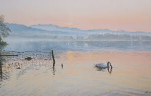 This is a signed limited edition print of an original soft pastel painting by artist Michael Howley. The subject of the painting is a very serene early morning scene of a swan dipping her head in the Lake. The pinks of the sky are reflected in the water and the distant bank is blue and misty. To the left is a tree and a broken down fence.