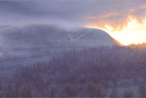 This is a signed limited edition print of an original soft pastel painting by artist Michael Howley. The subject of the painting is a beautiful dark, brooding image of mist over Pendle as the sun sets to the right. The dominant form of the hill is coloured in blue-greys and grey-greens and the clouds above are dark indigo. The misty forest in the foreground is in low-key dark purple-grey. There is a contrasting warm glow on the right hand side lighting the edge of the clouds and tree tops. The whole atmosphere of the painting seems to reflect the dark history of Pendle Hill and the Pendle witches.