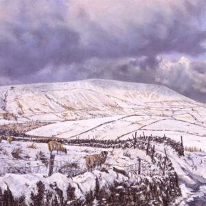 This is a signed limited edition print of an original soft pastel painting by artist Michael Howley. The subject of the painting is a wide view of Pedle Hill in the snow (above Barley) against a cloudy sky. In the foreground, sheep are grazing and a country track runs off to the left with dry stone walling. The clouds are blue-greys and magenta hues.