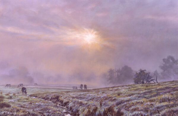 This is a signed limited edition print of an original soft pastel painting by artist Michael Howley. The subject of the painting is a very atmospheric misty morning scene across the fields as the pastel orange sun tries to break through the purple grey layers of mist. Tree forms are softened in the mist and the forms of cattle can be seen emerging. There is a frosty coating on the grass.