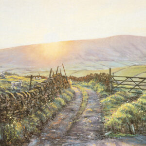 This is a signed limited edition print of an original soft pastel painting by artist Michael Howley. The subject of the painting is a scene of a hazy sunset over pendle hill from above Barley. The sky is in very soft pastel shades of mauve and pink with a pastel orange glow of sunset at the edge of the hill which is a soft purple-grey colour. The fields are bathed in low light with sheep, lambs, grass and flowers that are backlit. The viewer is led into the scene by a country lane with stone walls on either side and there is an open gate to the right.