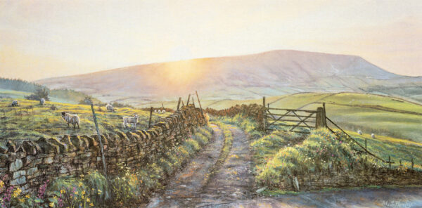 This is a signed limited edition print of an original soft pastel painting by artist Michael Howley. The subject of the painting is a scene of a hazy sunset over pendle hill from above Barley. The sky is in very soft pastel shades of mauve and pink with a pastel orange glow of sunset at the edge of the hill which is a soft purple-grey colour. The fields are bathed in low light with sheep, lambs, grass and flowers that are backlit. The viewer is led into the scene by a country lane with stone walls on either side and there is an open gate to the right.