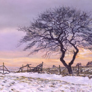 This is a signed limited edition print of an original soft pastel painting by artist Michael Howley. The subject of the painting is a winter tree and broken down fence in a snow covered field, set against a pastel winter sky of soft purple greys, warm oranges and pinks.