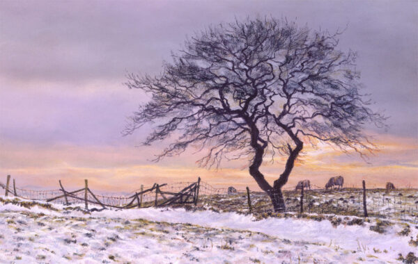 This is a signed limited edition print of an original soft pastel painting by artist Michael Howley. The subject of the painting is a winter tree and broken down fence in a snow covered field, set against a pastel winter sky of soft purple greys, warm oranges and pinks.