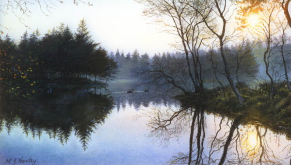 This is a signed limited edition print from an original soft pastel painting by artist Michael Howley. A tranquil scene across the lake in the early morning with the low glow of the sun breaking through bare trees on the right. There is an island of fir trees to the left which is reflected in still blue water. Landscape colours are soft blue-greens, dark green fir trees, blue reflections and yellow, orange and red hues in the sunlight glow.