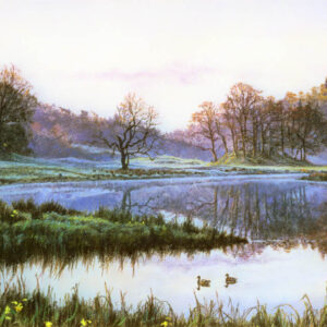 This is a signed limited edition print from an original soft pastel painting by artist Michael Howley. A very still early morning scene across Elterwater with the last of the mist clinging to the land and reflected in the water. Trees against the hills in the distance have a pinky glow around their tops and the landscape is coloured with pastel shades of blue and green with yellow daffodils dotted amongst the foreground grasses. 2 ducks float serenely across the foreground, creating a focal point.