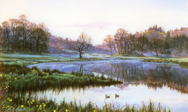 This is a signed limited edition print from an original soft pastel painting by artist Michael Howley. A very still early morning scene across Elterwater with the last of the mist clinging to the land and reflected in the water. Trees against the hills in the distance have a pinky glow around their tops and the landscape is coloured with pastel shades of blue and green with yellow daffodils dotted amongst the foreground grasses. 2 ducks float serenely across the foreground, creating a focal point.