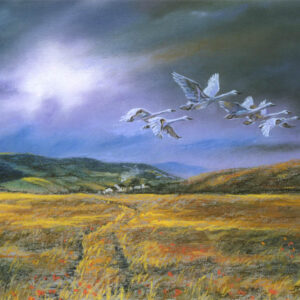 This is a signed limited edition print from an original soft pastel painting by artist Michael Howley. A flock of swans fly home against a petrol grey sky with a sunburst. Below are fields in Autumn colours and there is a track leading to a distant farmhouse.