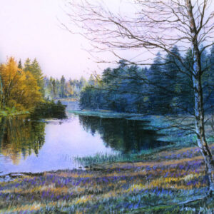 This is a signed limited edition print from an original soft pastel painting by artist Michael Howley. This landscape view shows fir trees in blue-greens, greens and golden browns reflected in the still waters of Tarn Hows. Much of the B bank on the right side is covered in morning shadows with a few strips of light breaking through. Colours in the foreground range from cool blue greens to soft pink, peach and cream touches in the sunlight.