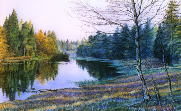 This is a signed limited edition print from an original soft pastel painting by artist Michael Howley. This landscape view shows fir trees in blue-greens, greens and golden browns reflected in the still waters of Tarn Hows. Much of the B bank on the right side is covered in morning shadows with a few strips of light breaking through. Colours in the foreground range from cool blue greens to soft pink, peach and cream touches in the sunlight.