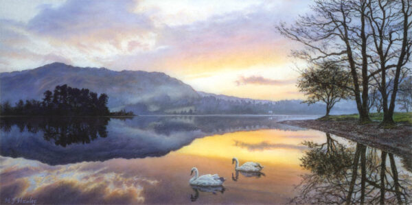 This is a signed limited edition print from an original soft pastel painting by artist Michael Howley. A serene painting of 2 swans floating on still reflections of a beautiful glowing sunrise over Grasmere. To the right are bare trees and stoney banking and the viwe across the lake is of an island with blue-grey hills behind. There is a soft mackerel sky formation in soft blues, pinky purples,pink and orange. The whole image is warm and peaceful.