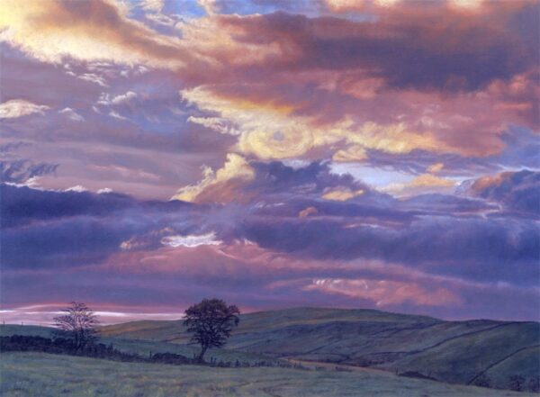 This is a signed limited edition print from an original oil painting by artist Michael Howley. The subject is largely of the beautiful skyscape with clouds which are coloured and highlighted by the evening sunlight forming a backdrop to a view across fields with the odd tree. The main colours are pinky purples, blues and soft warm golden colours of cream and yellow.