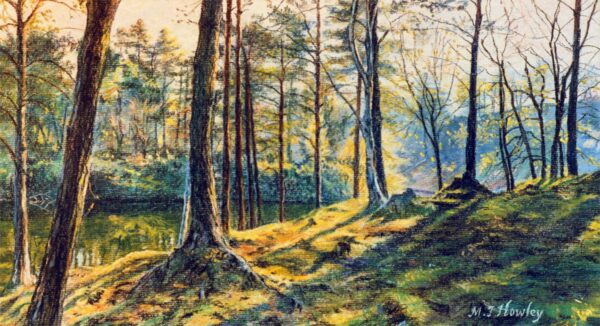 Dappled Light, Tarn Hows
