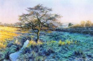 Frosty Fields, Barrowford