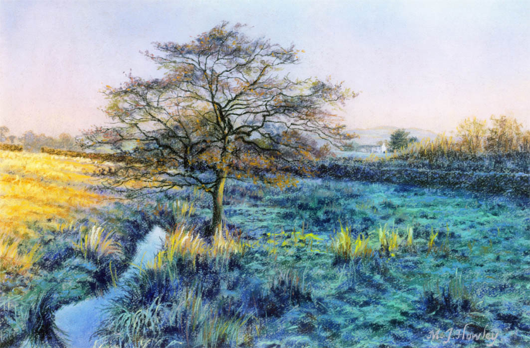 Frosty Fields, Barrowford