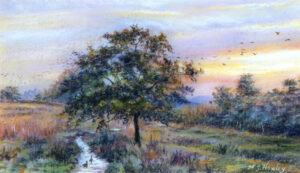 Shades of Autumn, Barrowford