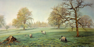 Sheep Grazing in the Meadow, Elterwater