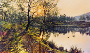 Spring Light, Tarn Hows