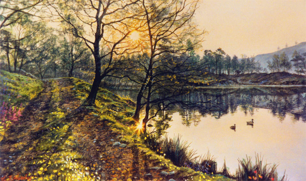 Spring Light, Tarn Hows