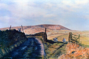Pendle In Spring